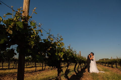 Monichino Wines - Accommodation Newcastle 1