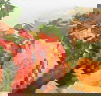 Raavi's Cumin - Accommodation Newcastle