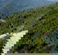 Canopy Cafe - Accommodation Newcastle