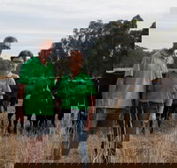 Milawa Organic Beef - Accommodation Newcastle