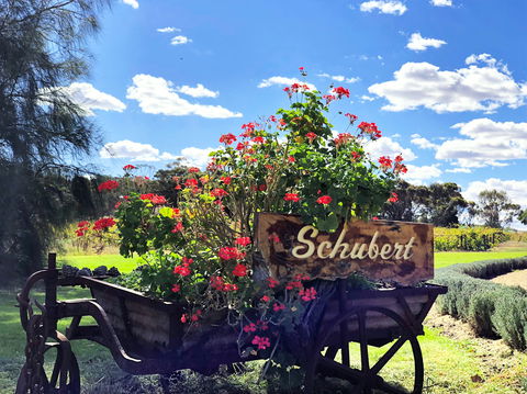 Schubert Estate - Accommodation Newcastle 2