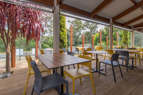 The Duck - Accommodation Newcastle 1