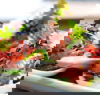 Garfish - Crows Nest - Accommodation Newcastle