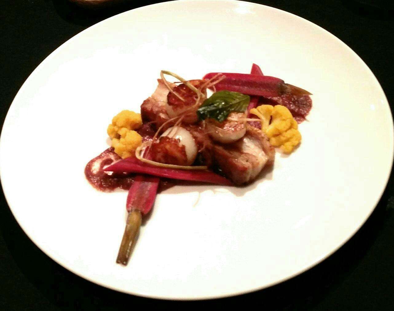 Lower Daintree QLD Accommodation Newcastle