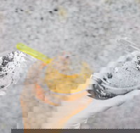 Spice Cottage - Accommodation Newcastle