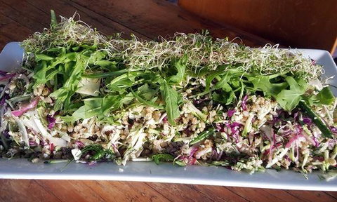 The Lithgow Tin Shed - Accommodation Newcastle 4