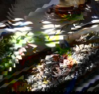 Good Cartel - Accommodation Newcastle