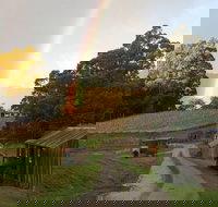 Hartzview Vineyard - Accommodation Newcastle