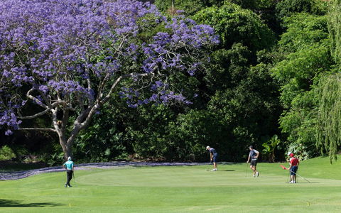 Kiama Golf Club - Accommodation Newcastle 2