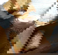 Kunara Organic Cafe - Accommodation Newcastle