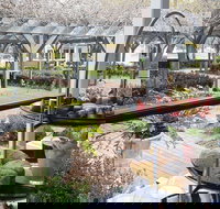 Restaurant Eighty Eight - Accommodation Newcastle