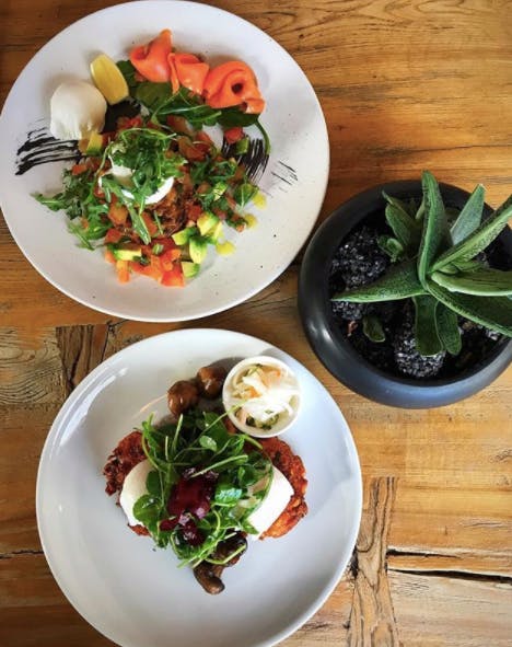 Hankook - Accommodation Newcastle 0