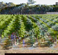 Weathercraft Wines - Accommodation Newcastle