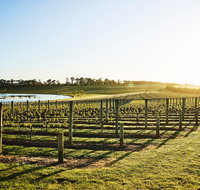 Wine Terrace and Cellar Door at Pt Leo Estate - Accommodation Newcastle