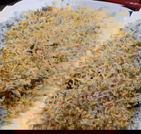 Man-O-Salwa - Clayton - Accommodation Newcastle