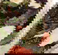 Ragazzi - Accommodation Newcastle