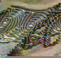 Bago Maze and Wine - Accommodation Newcastle