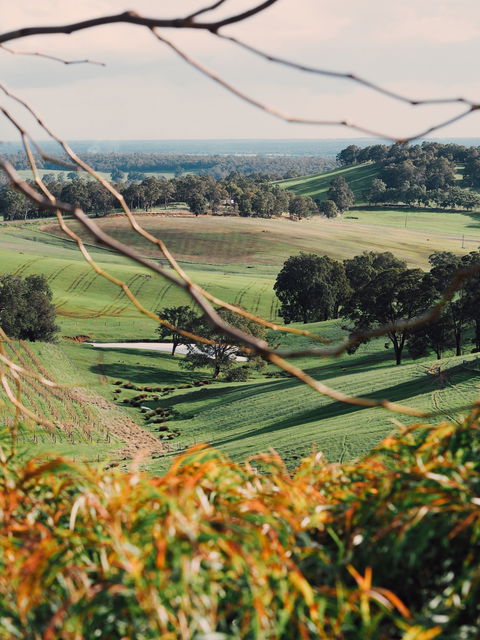 Green Door Winery Cellar Door - Accommodation Newcastle 0