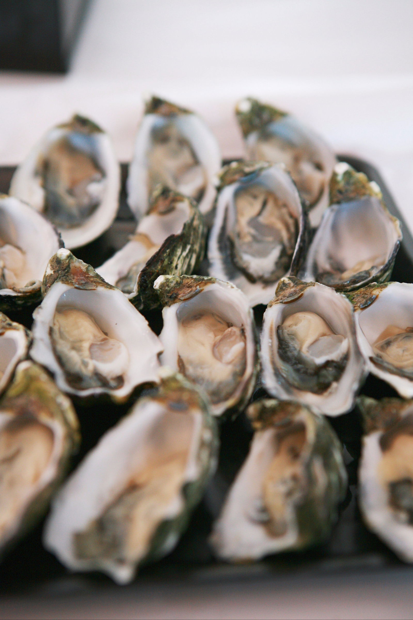 Port Pirie SA Accommodation Newcastle