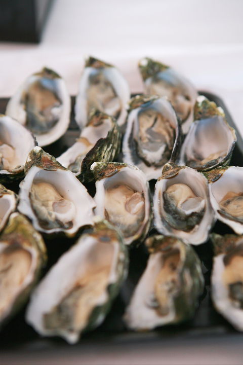 S.D. Caputo And Sons - Accommodation Newcastle 0