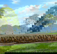 Hillview Herb Farm - Accommodation Newcastle