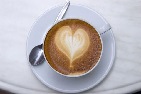 Fibonacci Coffee - North Ryde - Accommodation Newcastle 0