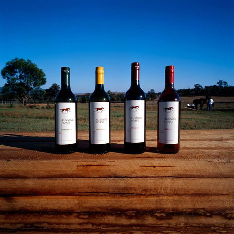 Running Horse Wines - Accommodation Newcastle 2