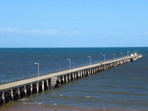 Ardrossan Seafood And Schnitzels - Accommodation Newcastle 1