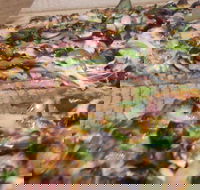 Papa's Pizza  Pasta - Accommodation Newcastle