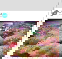 Cafe Invigor8 - Accommodation Newcastle