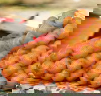 Mathoura Mandarins - Accommodation Newcastle