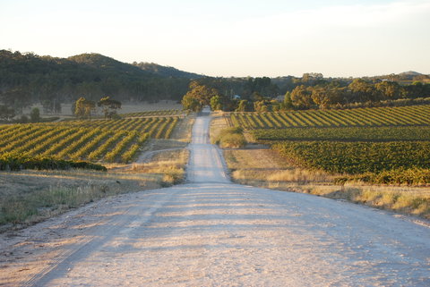 Stone Bridge Wines - Accommodation Newcastle 0