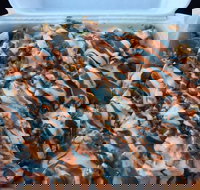 Sizzlers Kebab - Accommodation Newcastle