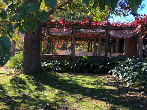 The Pressing Shed Cafe & Restaurant At Nullamunjie Olive Groves - Accommodation Newcastle 1