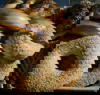 NYC Bagel Deli  Cafe - West End - Accommodation Newcastle