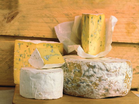 Cheese Shop At Makers' Workshop Burnie - The - Accommodation Newcastle 1
