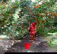 Fords Farm - Accommodation Newcastle