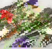 Just Earth - Accommodation Newcastle