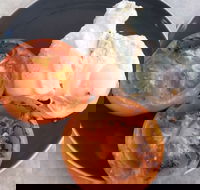 The Deck Poolside Bar  Restaurant - Accommodation Newcastle