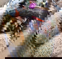 Arabella's Charcoal - Accommodation Newcastle