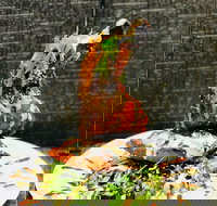 Cafe Bear and Scoobs - Accommodation Newcastle