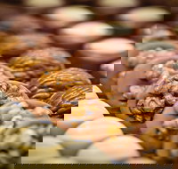 Challys Bar and Bistro - Accommodation Newcastle