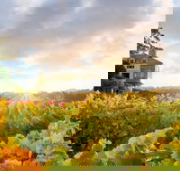 Hahndorf Hill Winery - Accommodation Newcastle