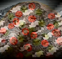 Sam's Gourmet Pizzas - Accommodation Newcastle