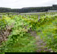 Suffoir Winery Brewery and Cidery - Accommodation Newcastle