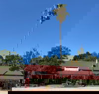 The Vine Hotel North Wangaratta - Accommodation Newcastle