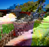 Flower Cellar Door and Cafe - Accommodation Newcastle