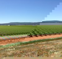 Melange Wines - Accommodation Newcastle