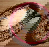 Baum - Accommodation Newcastle