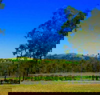 Degen Wines - Accommodation Newcastle